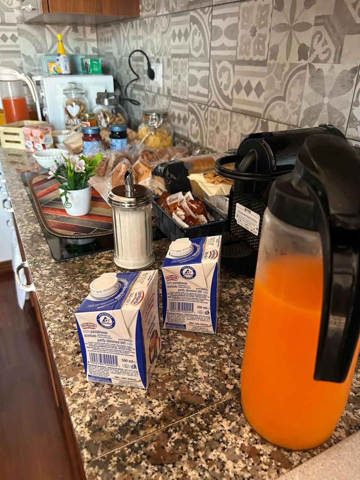 Bed and Breakfast I 4 Mori Fiumicino Zewnętrze zdjęcie