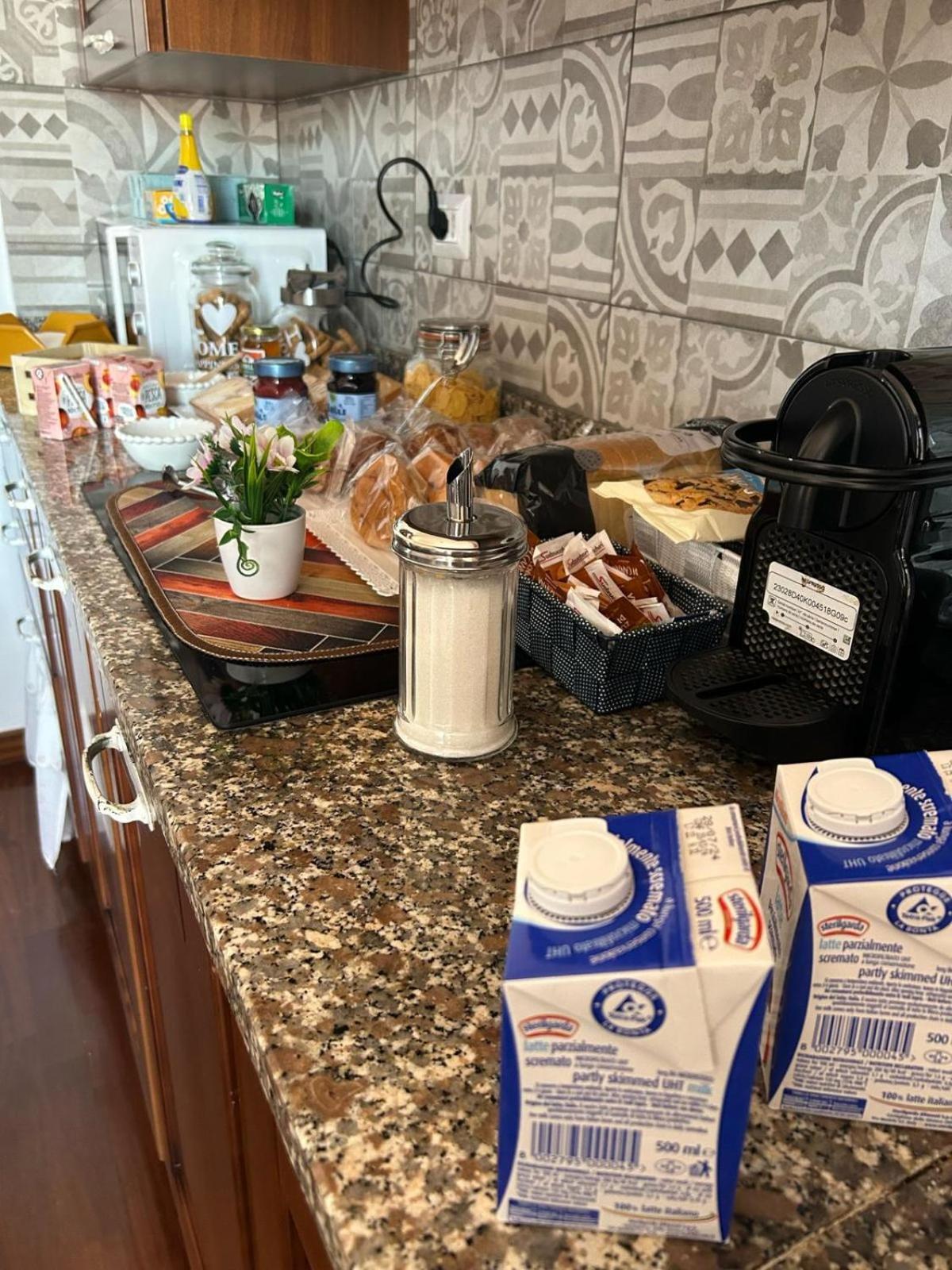 Bed and Breakfast I 4 Mori Fiumicino Zewnętrze zdjęcie